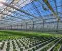 Greenhouse-gutters-system_093836-cropped.jpg
